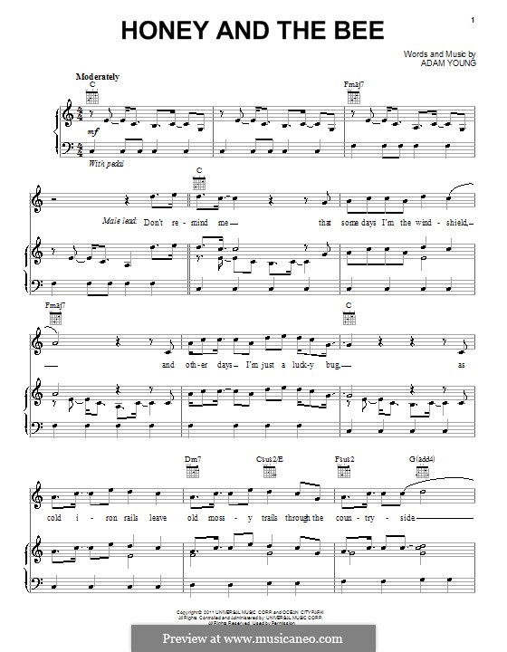 Honey and the Bee (Owl City) by A. Young - sheet music on MusicaNeo