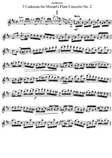 boccherini flute concerto in d major pdf writer