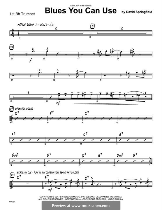 Blues You Can Use by D. Springfield - sheet music on MusicaNeo