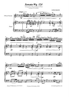 cpe bach flute concerto d minor pdf writer