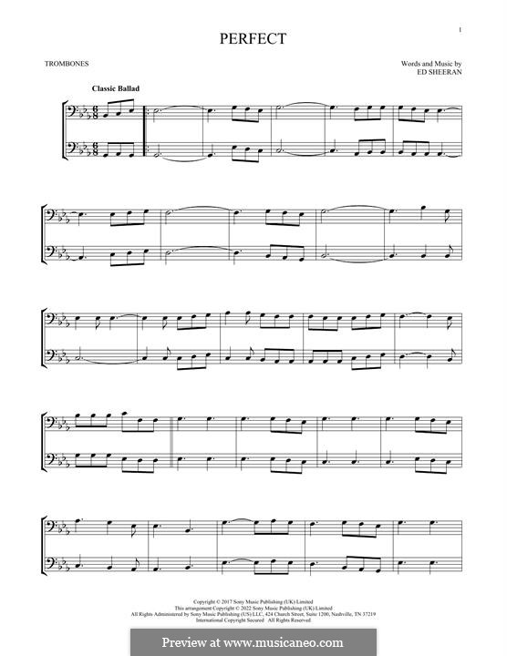 Two instruments version (Perfect) by E. Sheeran - sheet music on MusicaNeo