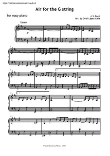 AIR ON THE G STRING Easy Sheet music